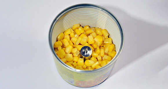 Food Industry Temperature Loggers | Chartech Ltd gallery image 21